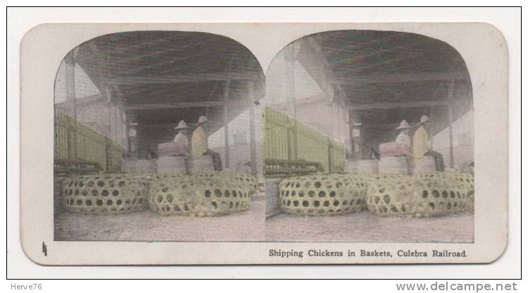 Photo Stéréoscopique (stéréo) - PANAMA - Poulets D'expédition Dans Le Chemin De Fer De Culebra - Stereoscopic