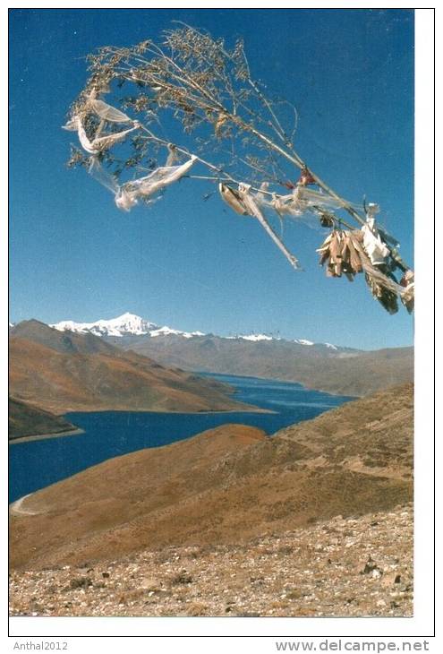 Tibet Lhasa Lake See Hill Mountain With Snow Tree 29.4.1987 - Tíbet