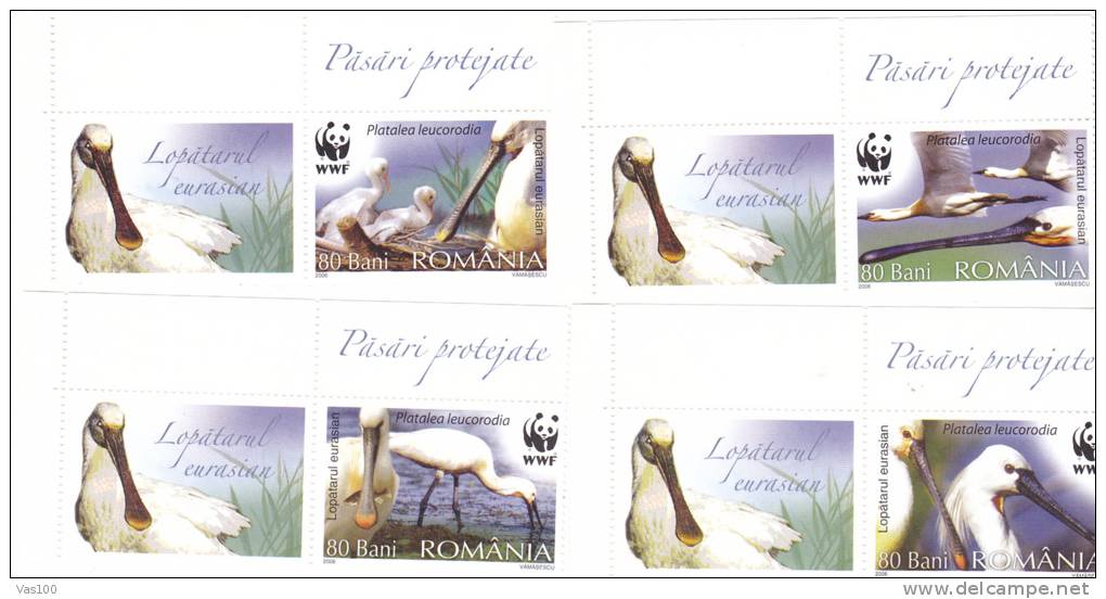 Birds Pelican WWF 2006 Full Set MNH - LABELS RARE!  - Romania. - Pelikanen