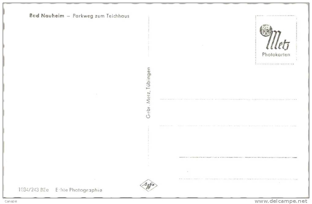 AK Bad Nauheim, Parkweg Zum Teichhaus, Ung (Spaziergänger, Menschen Auf Bank) - Bad Nauheim