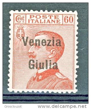Venezia Giulia 1918-19 SS 2 N. 28 C. 60 Carminio MNG (senza Gomma)- Se MNH Cat € 600 - Venezia Giulia