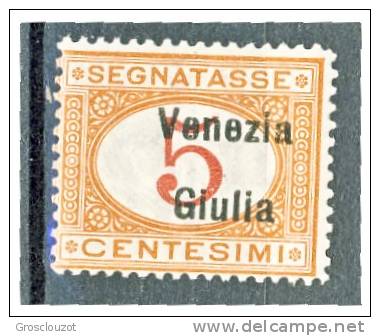 Venezia Giulia 1918 Segnatasse SS 4 N. 1 C. 5 Arancio E Carminio MNH Cat. € 40 - Vénétie Julienne