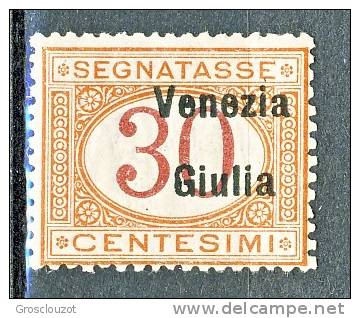 Venezia Giulia 1918 Segnatasse SS 4 N. 4 C. 30 Arancio E Carminio MNH Cat. € 75 - Venezia Giulia