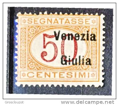 Venezia Giulia 1918 Segnatasse SS 4 N. 6 C. 50 Arancio E Carminio MNH Firmato  Cat. € 800 - Venezia Giulia
