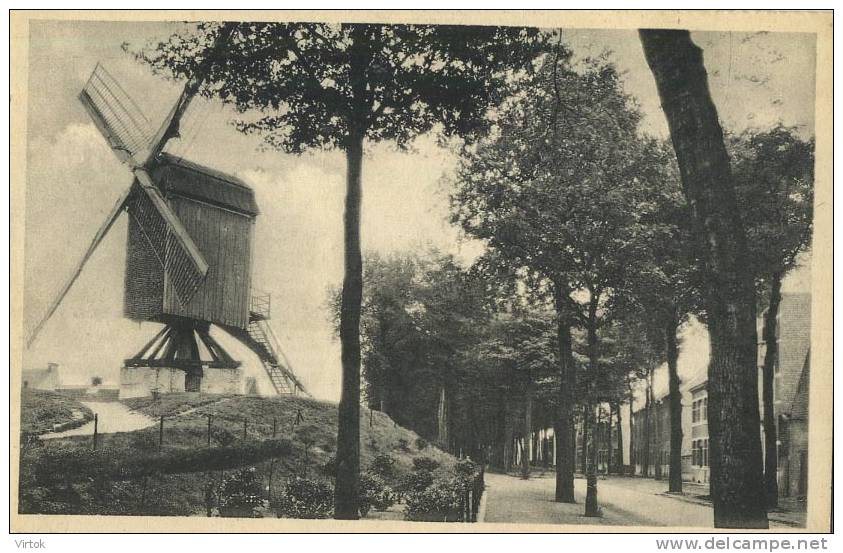 Herentals :   Oude Molen  ( Windmolen ) - Herentals