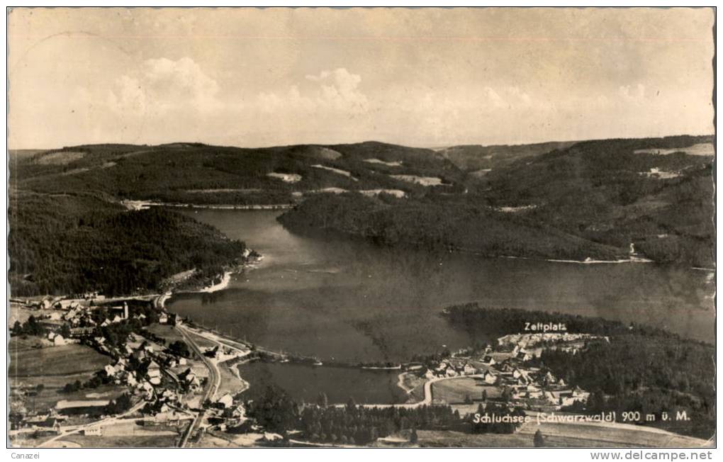 AK Schluchsee, Zeltplatz, Gel 1960 - Schluchsee