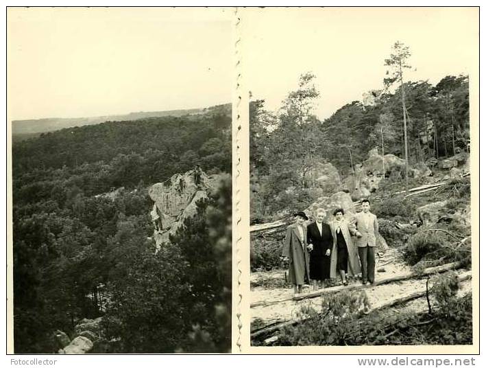 Larchant Rocher De La Dame Jouanne (77) - Lieux