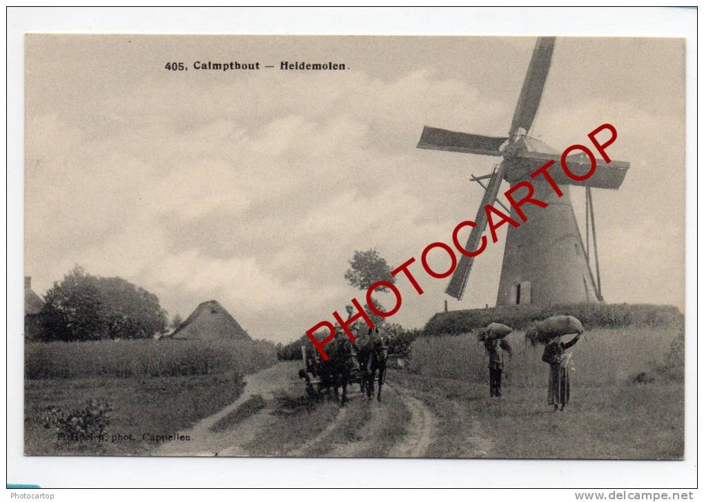 MOULIN A VENT-WINDMUEHLE-KALMTHOUT-CALMPTHOUT-Heidemolen-Animation-Paysans-BELGIEN-BELGIQUE- - Kalmthout