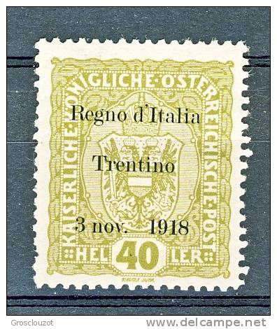 Trentino Alto Adige 1918 SS 1 N. 10  40H Oliva MLH Cat. € 120 - Trentin