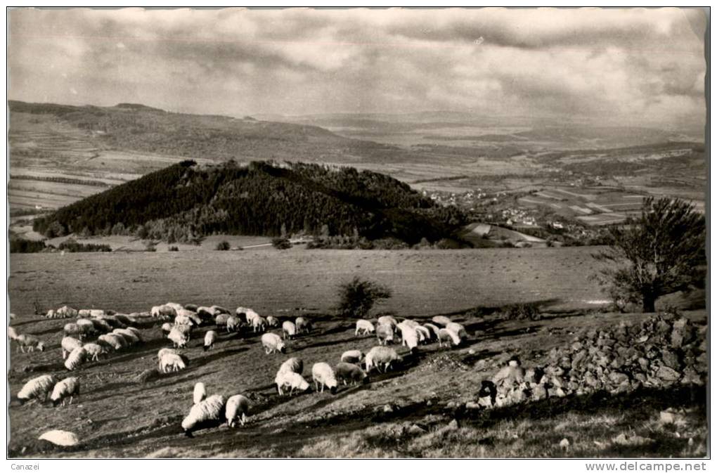 AK Blick Von Arnsberg über Osterburg Bischofsheim Zum Bauersberg, Ung - Arnsberg