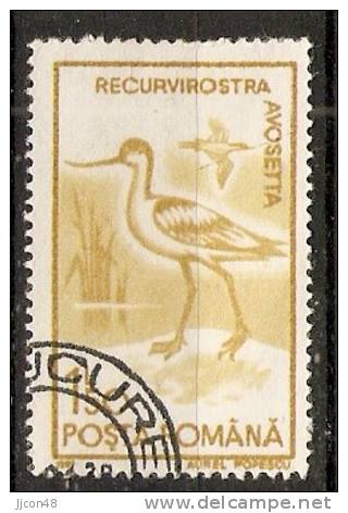 Romania 1991  Birds  (o) - Used Stamps