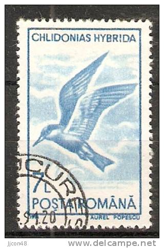 Romania 1991  Birds  (o) - Used Stamps