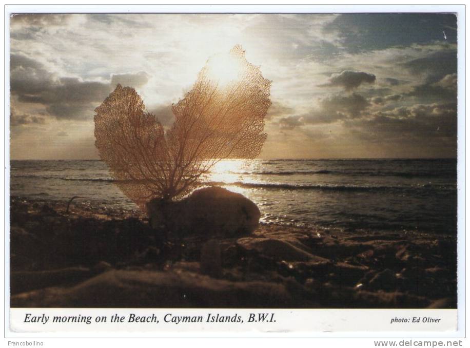 CAYMAN ISLANDS-EARLY MORNING ON THE BEACH / THEMATIC STAMP-BEACH SCENE - Caïman (Iles)