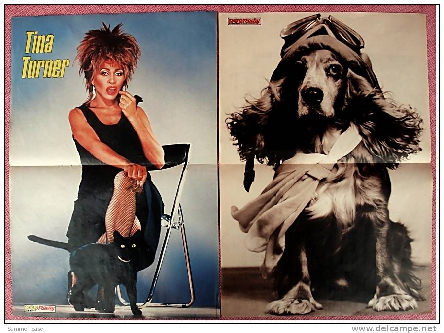 2 Kleine Poster  BAP ( Wolfgang Niedecken )  ,  Rückseitig Tina Turner / Dackel -  Von Pop Rocky Ca. 1982 - Posters