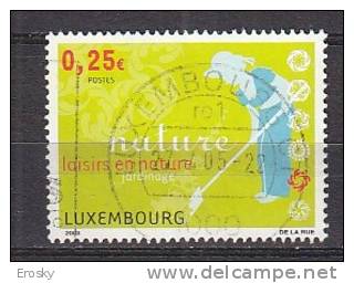 Q4173 - LUXEMBOURG Yv N°1561 - Used Stamps