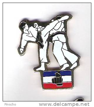 Pin's  JUDO - Judo