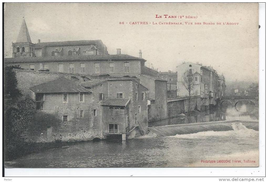 CASTRES - La Cathédrale, Vue Des Bords De L'Agout - Castres