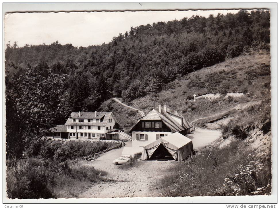 68 - Sainte Croix Aux Mines - Colonie De Vacances "Les Moineaux De Sélestat" - Editeur: Schweitzer - Sainte-Croix-aux-Mines