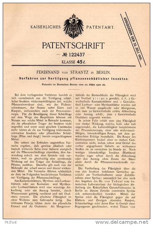 Original Patentschrift - Ferdinand Von Strantz In Berlin ,1900, Schutz Vor Prozessions Raupe , Insekten , Pflanzenschutz - Historische Dokumente