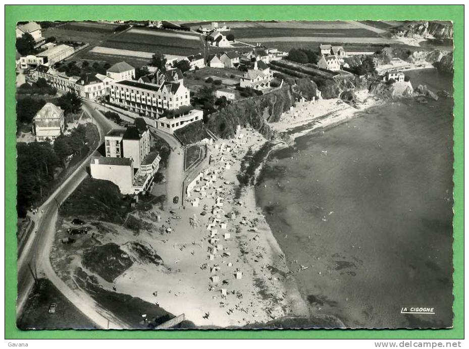 29 En Avion Sur LE POULDU - La Plage Et Les Hotels - Le Pouldu