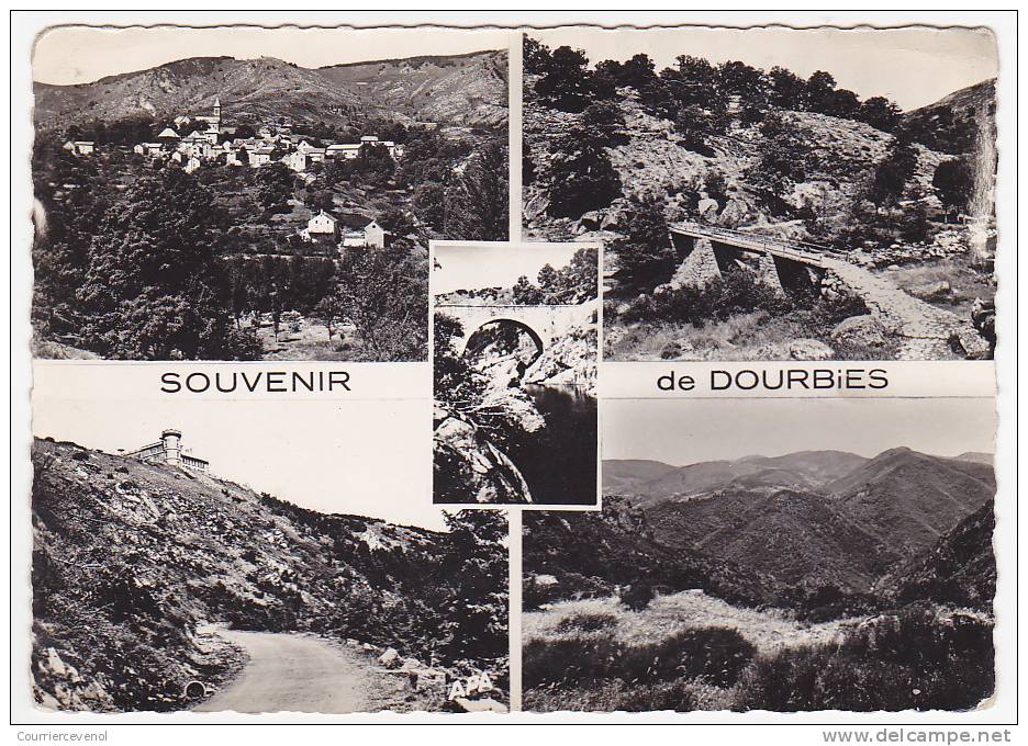 CPSM - DOURBIES (Gard) - Souvenir De ... Vues Multiples - Autres & Non Classés