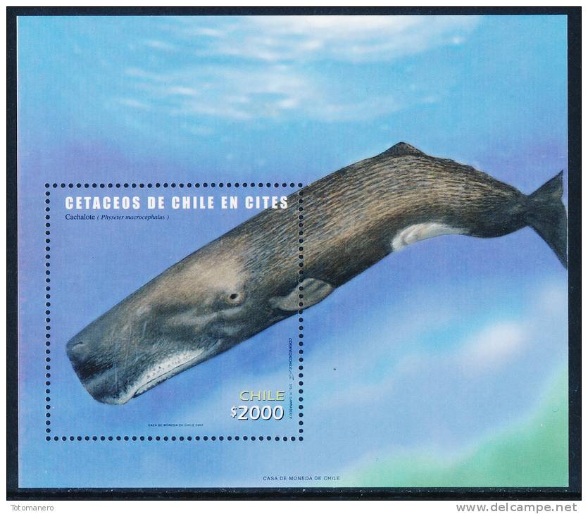 CHILE 2002 ANTARTICA CHILENA Sperm Whale Minisheet** - Fauna Antártica