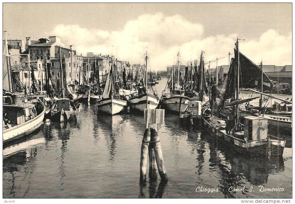 VENETO  - CHIOGGIA (Venezia) - Canal S. Domenico  (barche E Bragozzi) - Chioggia