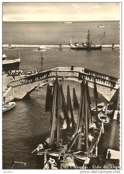 VENETO  - CHIOGGIA (Venezia) - Lido Di Vigo  (barche E Bragozzi) - Chioggia