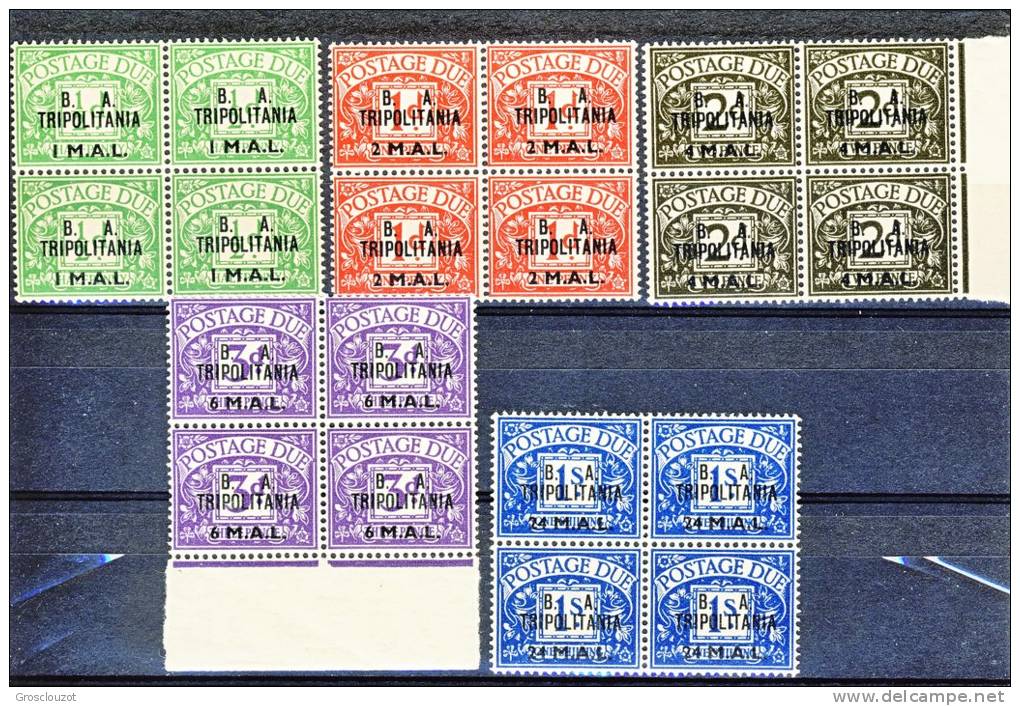 Tripolitania Occup. Inglese 1950 Segnatasse GB Soprastampato  B.A. TRIPOLITANIA N. 6 - 10 QUARTINE MNH Cat. € 700 - Tripolitania