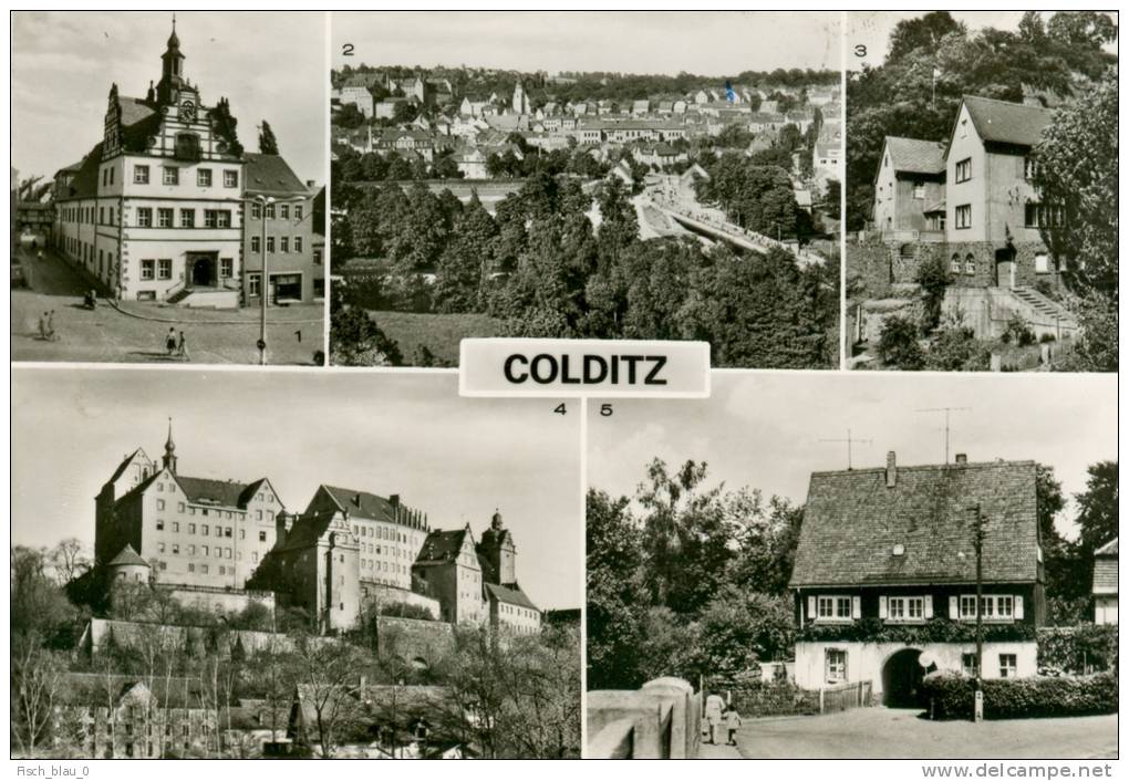 AK Colditz DDR Kreis Grimma Rathaus Schloß Jugendherberge Tiergartentor GDR Deutschland GERMANY - Colditz