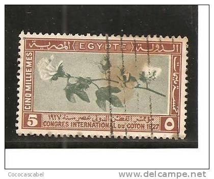 Egipto - Egypt. Nº Yvert  115 (usado) (o) - Used Stamps