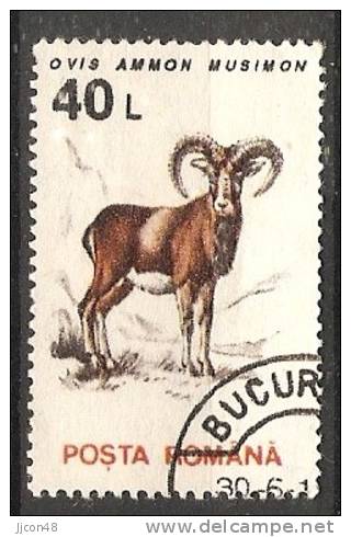 Romania 1993  Animals-Mammals: Argali (o) - Oblitérés