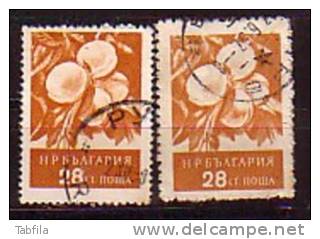 BULGARIA / BULGARIE - 1956 - Serie Courant - 28st Peches - Dent. K 13 Et L 10 3/4 - Variétés Et Curiosités