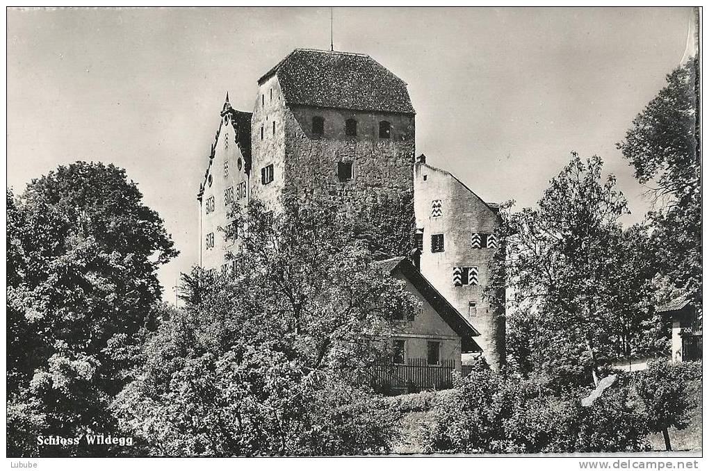 Schloss Wildegg           Ca. 1950 - Wildegg