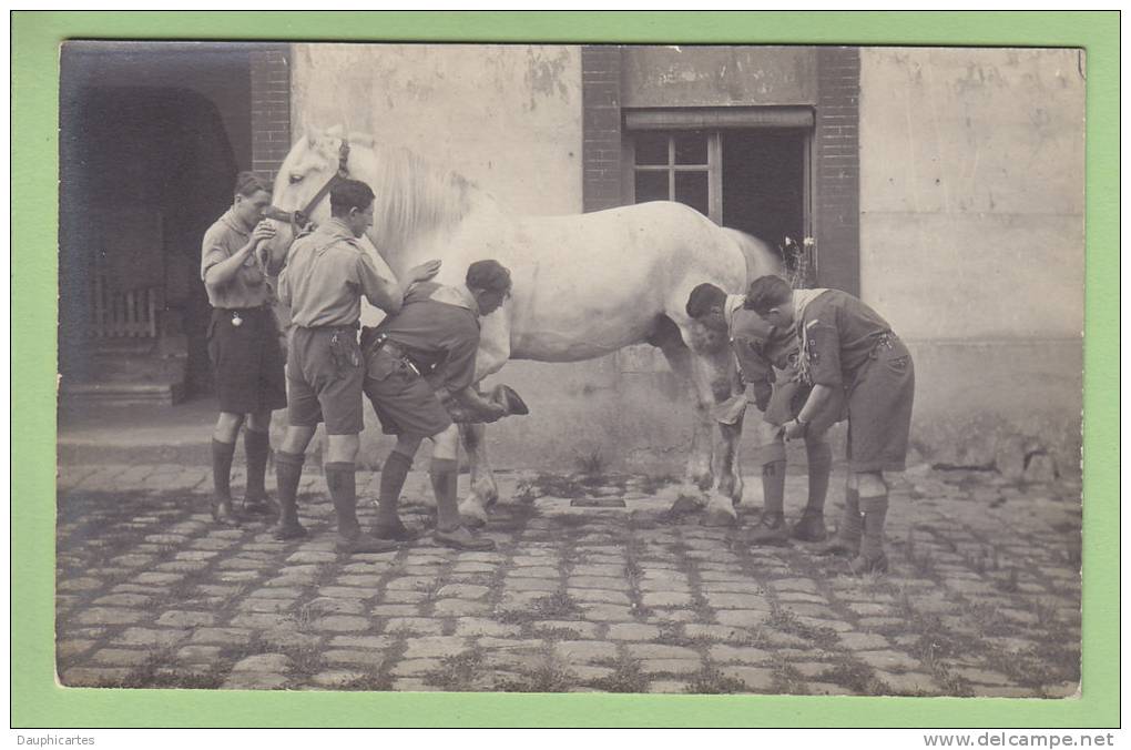 CHAMARANDE, Années 20 : Soins à La Jument Du Château. CARTE PHOTO. Scouts De France. 2 Scans - Scoutisme