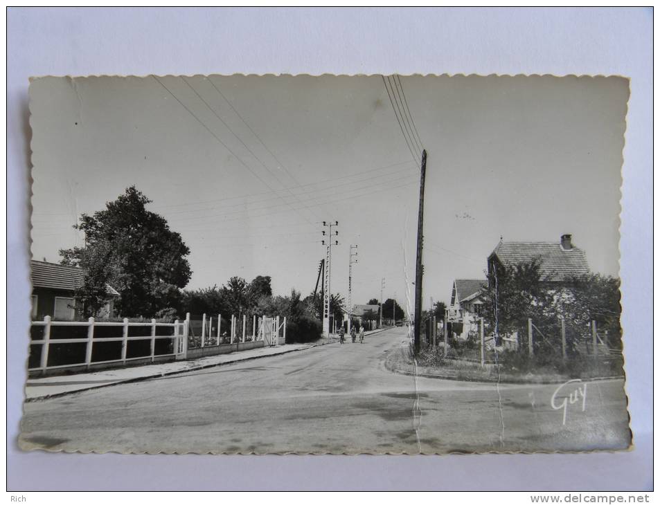 CPM (91) Essonne - MORSANG Sur ORGE - Avenue Des Bouleaux - Morsang Sur Orge