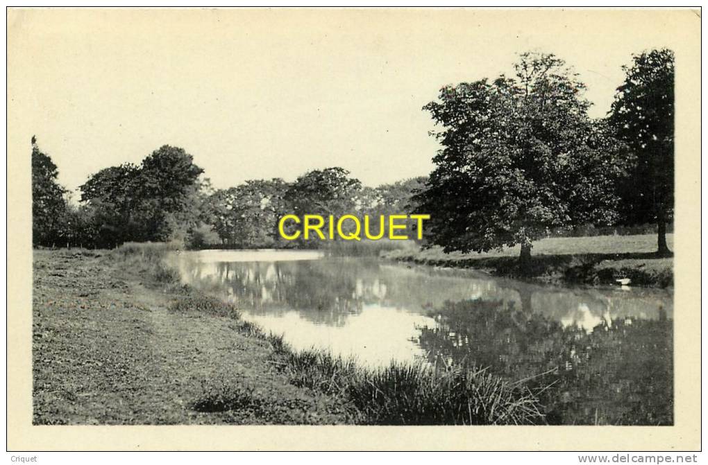 56 Caden, Photo-carte Etang De La Béraye, écrite 1958 - Andere & Zonder Classificatie