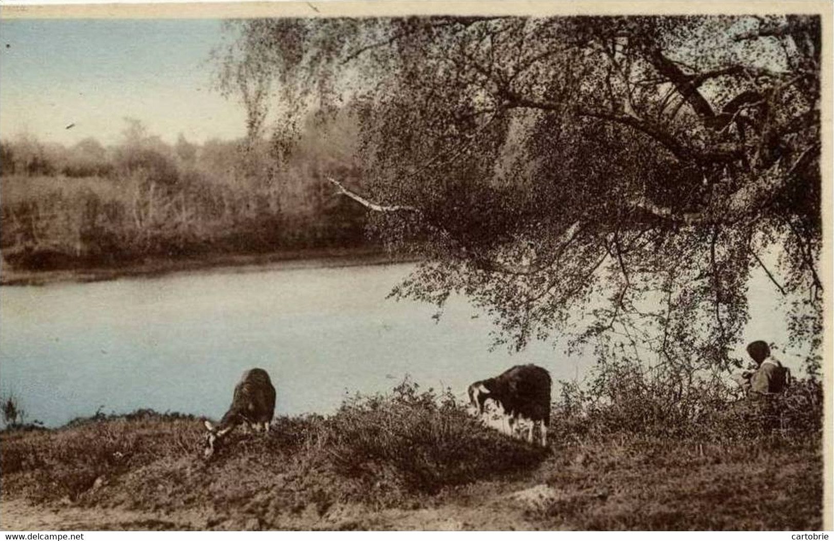 Dépt 89 - SAINT-SAUVEUR-EN-PUISAYE - Les Étangs De Puisaye Chassaing - Animée, Vaches - Saint Sauveur En Puisaye