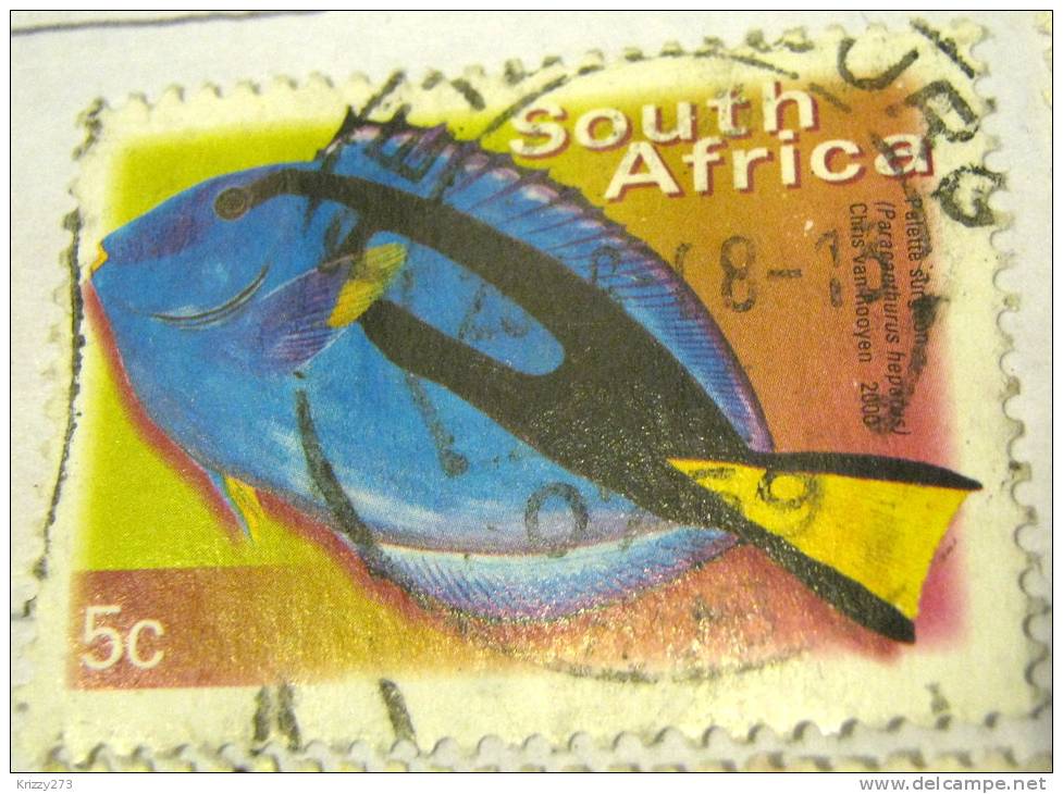 South Africa 2000 Fish Palette Surgeon 5c - Used - Usati