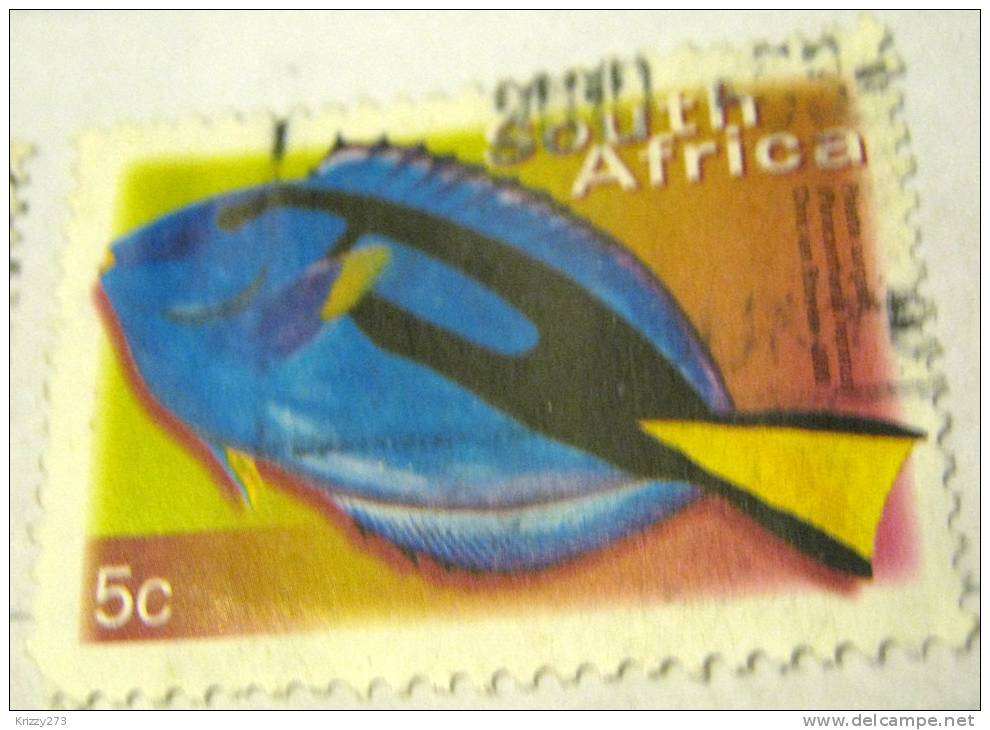 South Africa 2000 Fish Palette Surgeon 5c - Used - Gebruikt