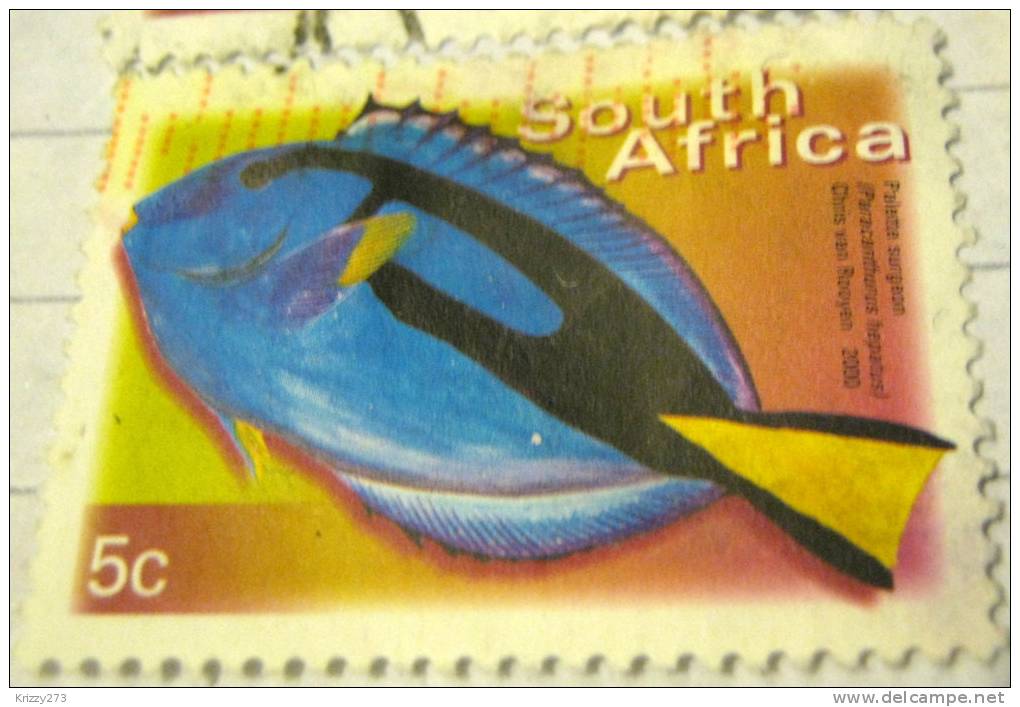 South Africa 2000 Fish Palette Surgeon 5c - Used - Usados