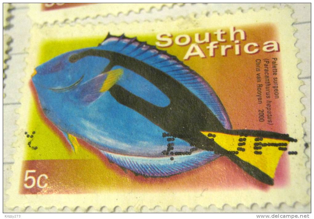 South Africa 2000 Fish Palette Surgeon 5c - Used - Usados