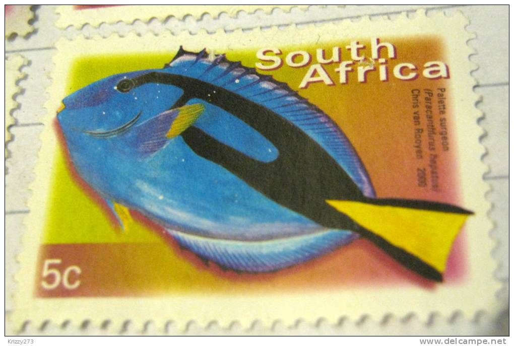 South Africa 2000 Fish Palette Surgeon 5c - Used - Gebruikt