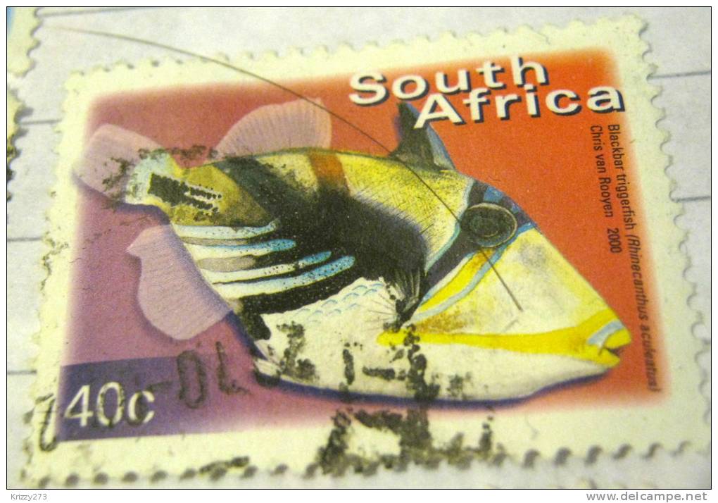 South Africa 2000 Fish Triggerfish 40c - Used - Usati