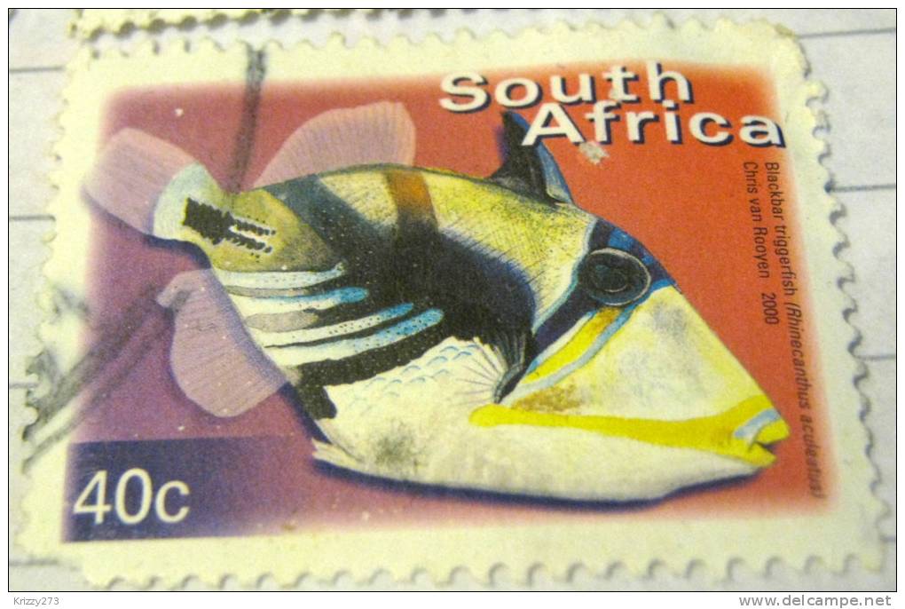 South Africa 2000 Fish Triggerfish 40c - Used - Oblitérés