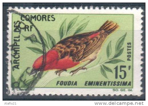 #3 - ARCHIPEL Des COMORES  N° 43 - OBLITERE - FAUNE - Used Stamps