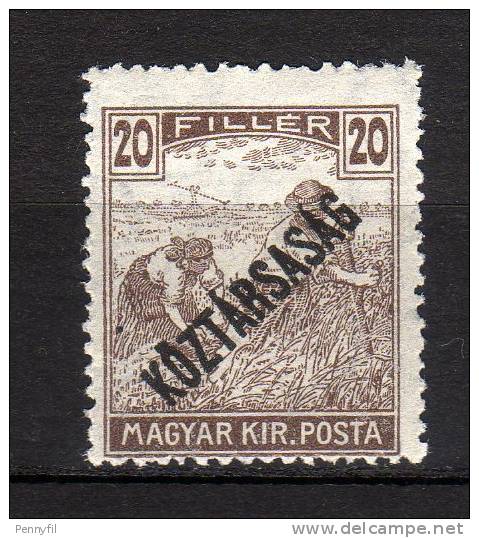 MAGYAR - 1918 YT 204 * - Unused Stamps