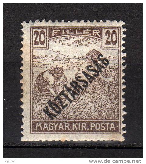 MAGYAR - 1918 YT 204 * - Unused Stamps