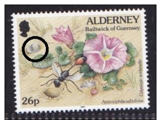 ALDERNEY INSECT & SHELL 1V (MNH**) - Muscheln