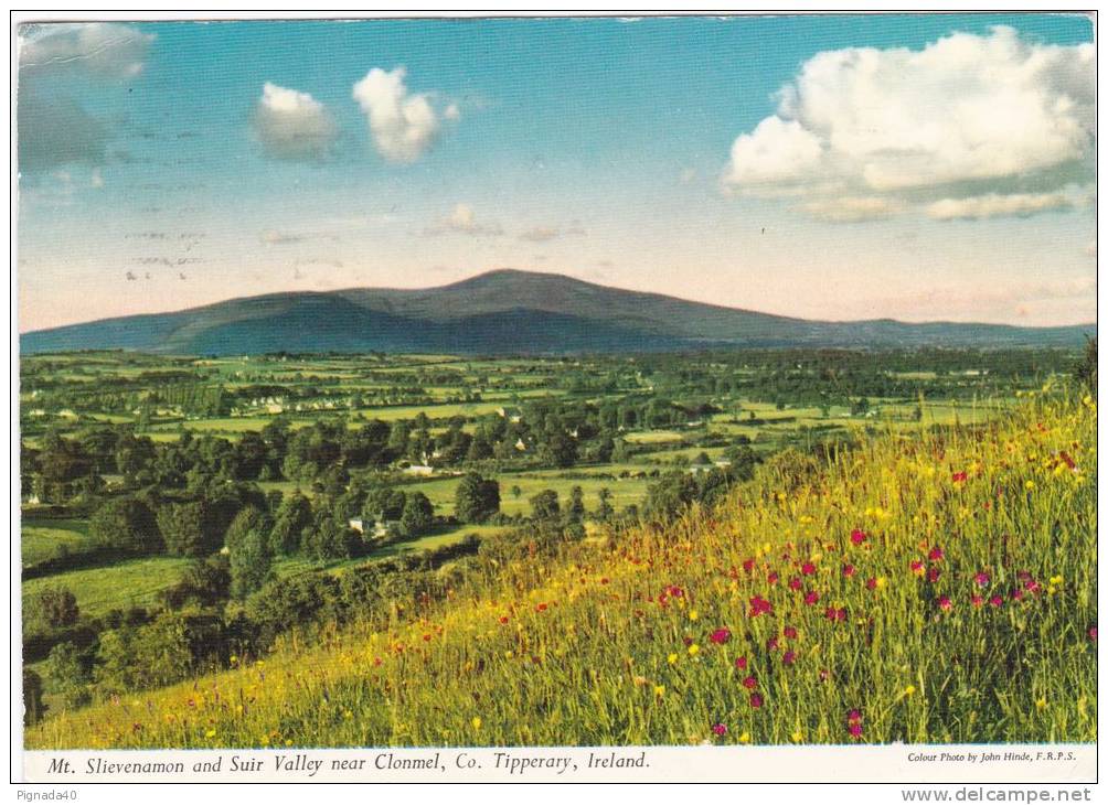 Cp , IRLANDE , TPPERARY , Mt. Slievenamon And Suir Valley Near Clonmel - Tipperary